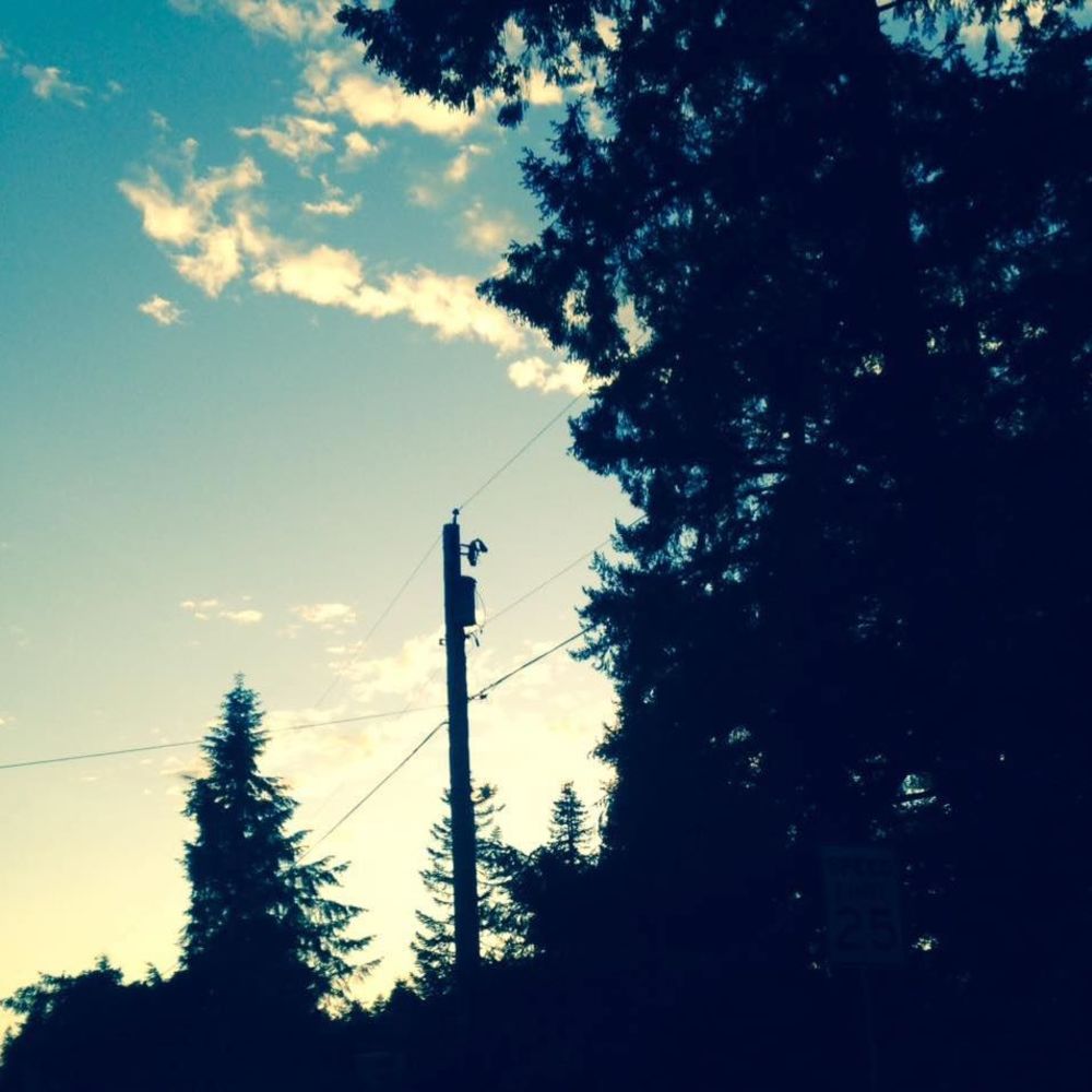 Meet your Posher, Aiden